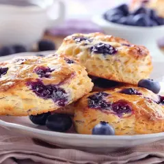 Tre klassiska scones med blåbär på en vit tallrik, med färska blåbär runt om. Perfekt till fikat!