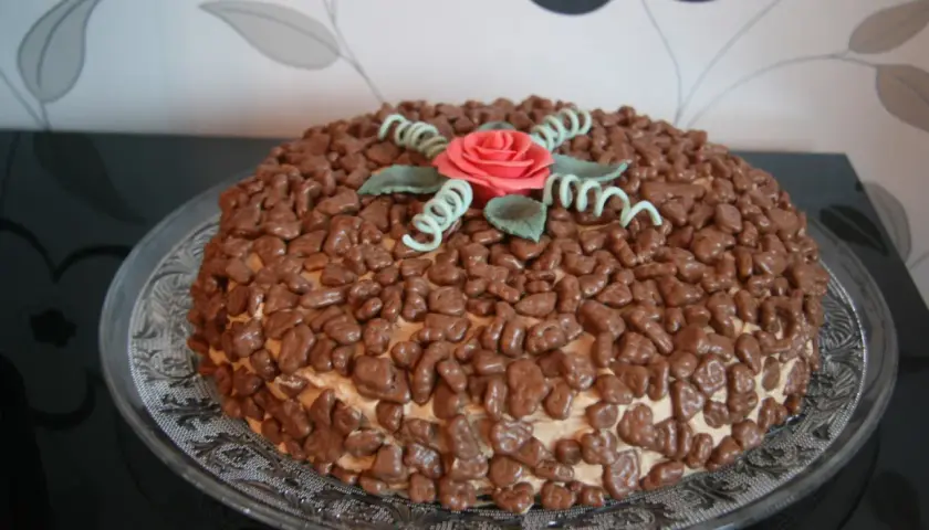 En härlig daim tårta täckt med chokladbitar och dekorerad med en rosa ros och gröna blad.