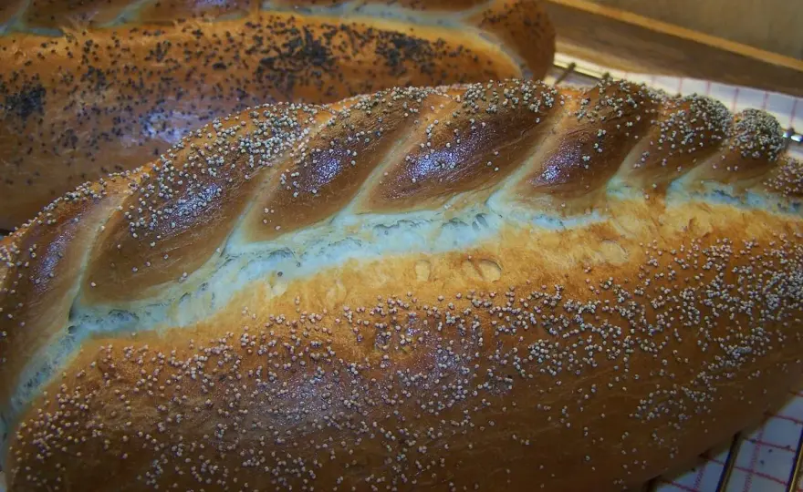 Baka barkis - Recept & tips för perfekt luftiga bröd