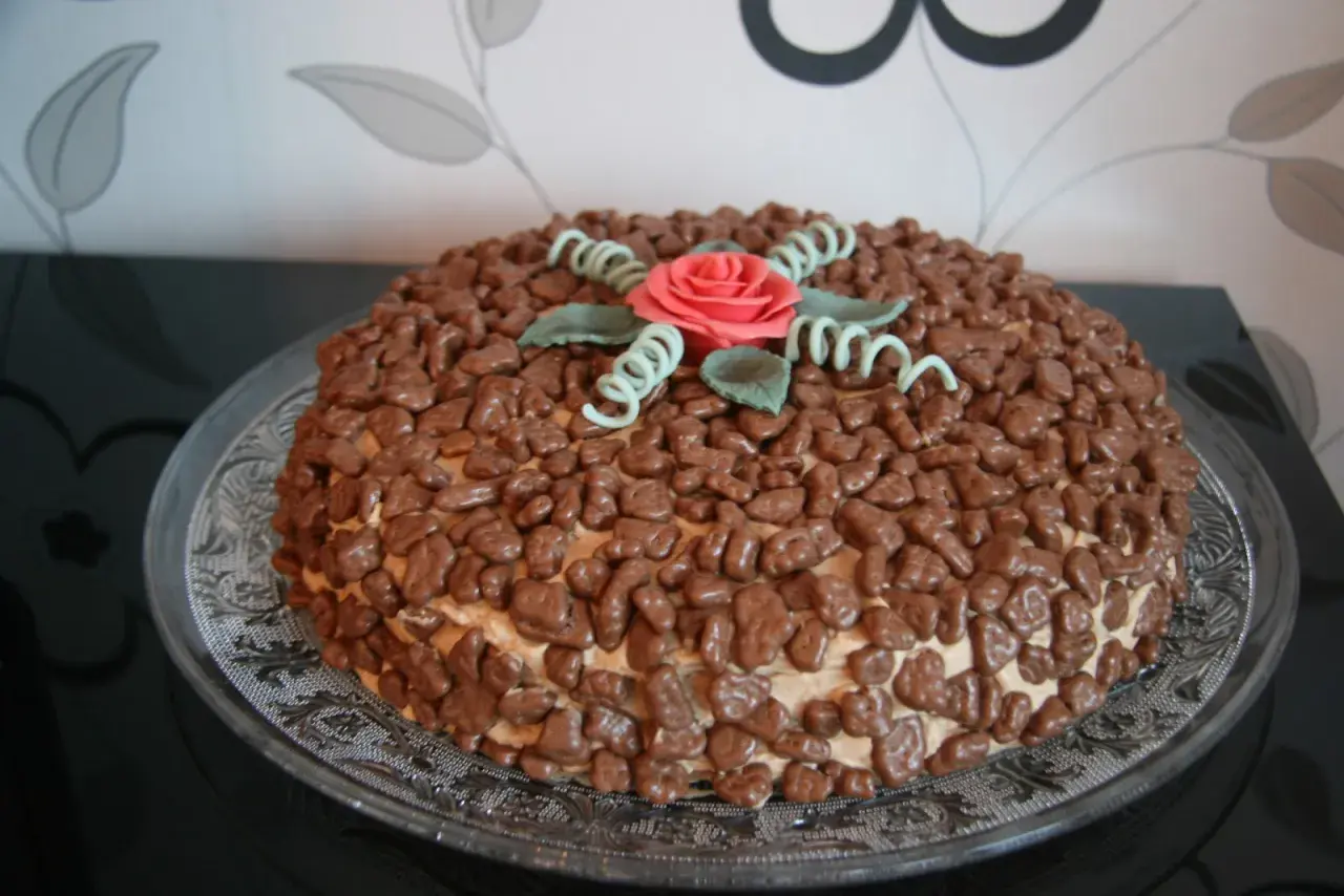 En härlig daim tårta täckt med chokladbitar och dekorerad med en rosa ros och gröna blad.