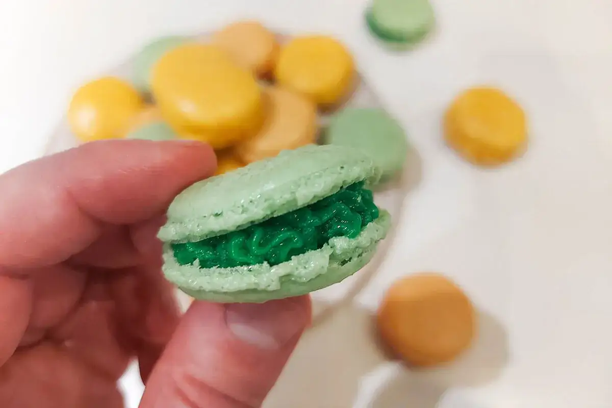 En hand håller en grön macaron med grön fyllning. Frågan är om man kan frysa macarons, och dessa ser goda ut att testa!